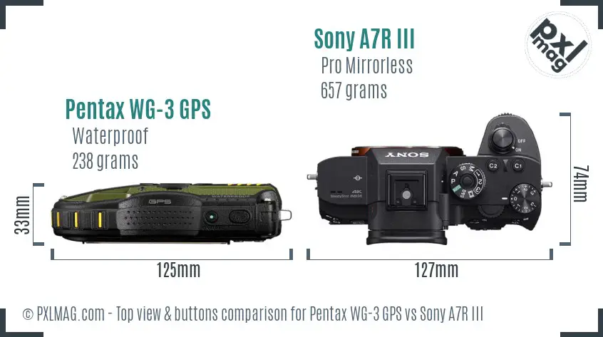 Pentax WG-3 GPS vs Sony A7R III top view buttons comparison