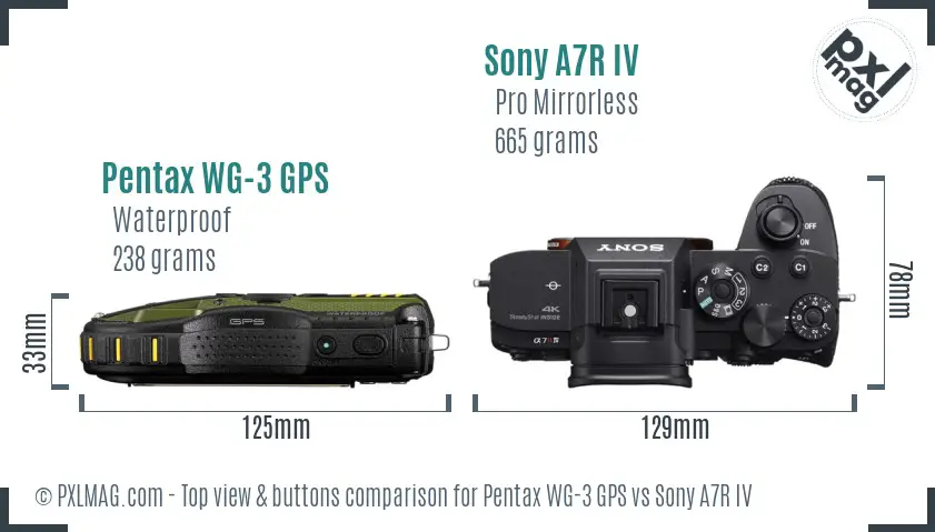 Pentax WG-3 GPS vs Sony A7R IV top view buttons comparison