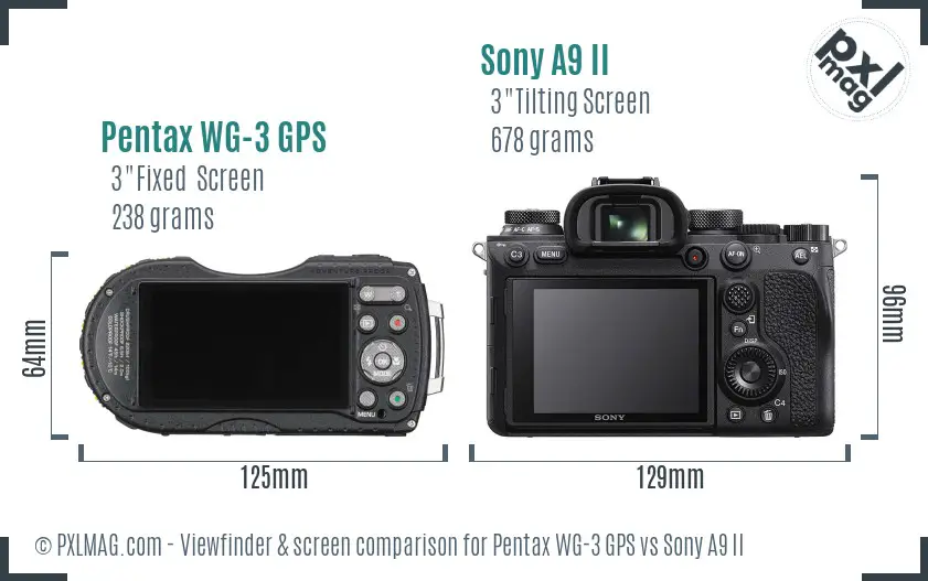 Pentax WG-3 GPS vs Sony A9 II Screen and Viewfinder comparison