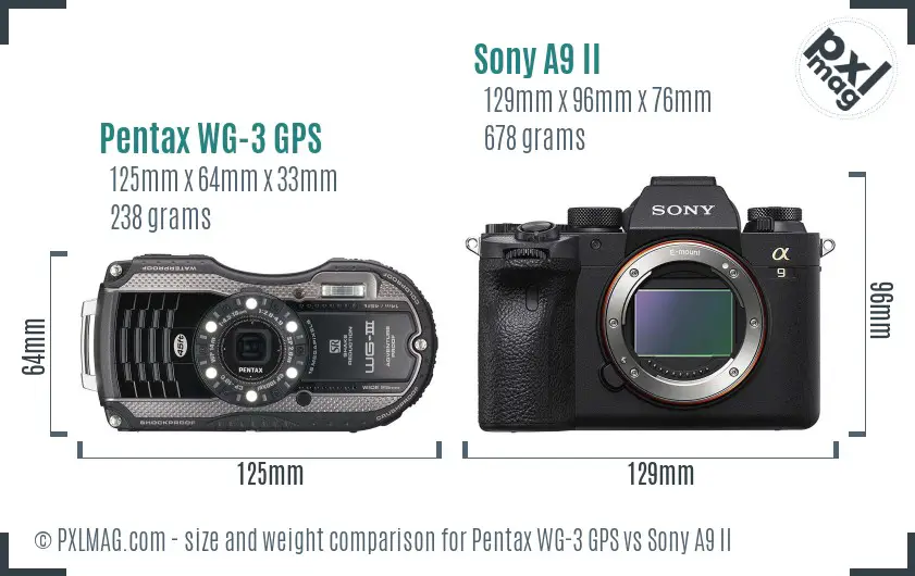 Pentax WG-3 GPS vs Sony A9 II size comparison