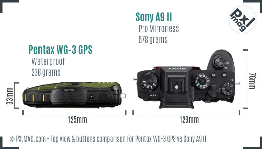 Pentax WG-3 GPS vs Sony A9 II top view buttons comparison