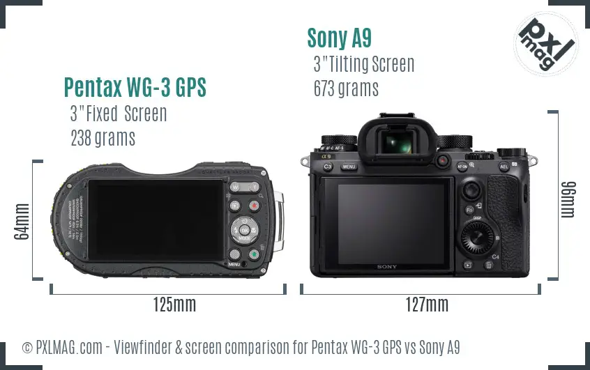 Pentax WG-3 GPS vs Sony A9 Screen and Viewfinder comparison