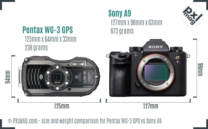 Pentax WG-3 GPS vs Sony A9 size comparison