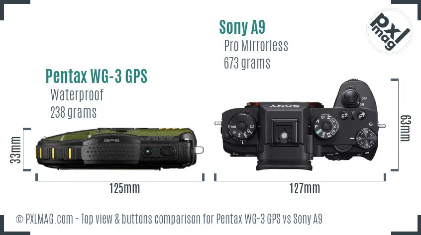 Pentax WG-3 GPS vs Sony A9 top view buttons comparison