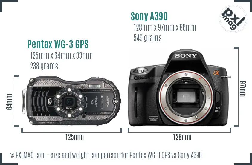 Pentax WG-3 GPS vs Sony A390 size comparison