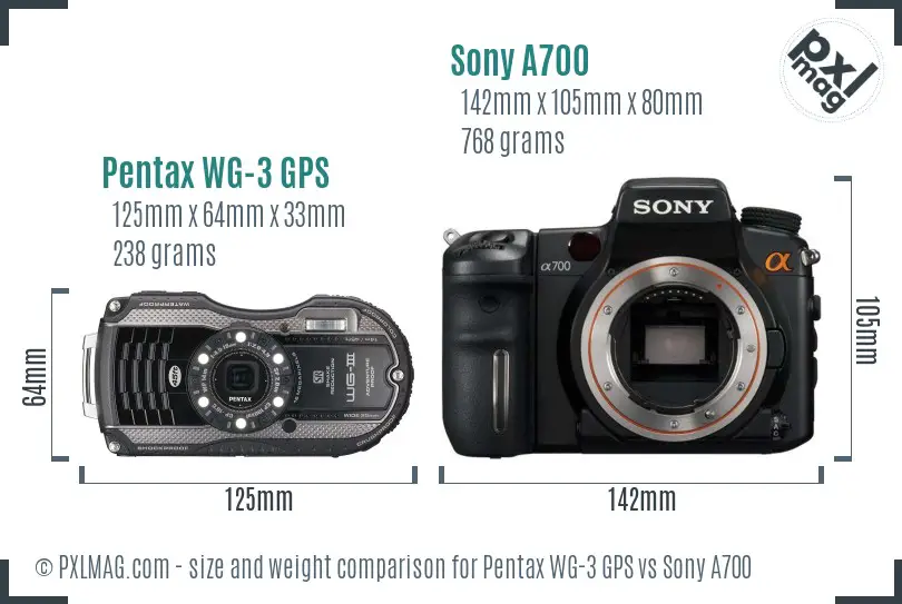 Pentax WG-3 GPS vs Sony A700 size comparison