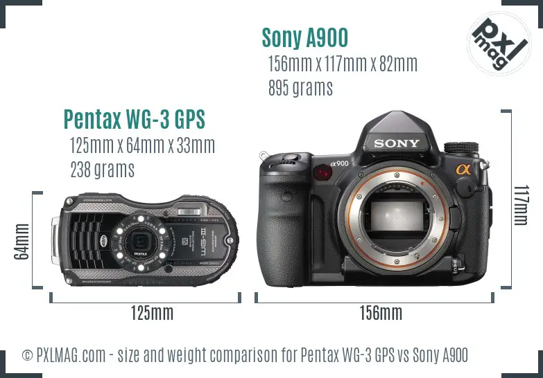 Pentax WG-3 GPS vs Sony A900 size comparison