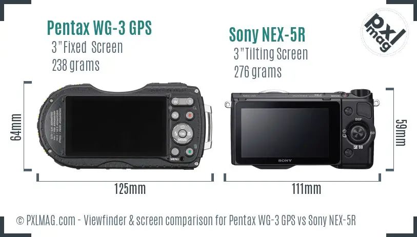 Pentax WG-3 GPS vs Sony NEX-5R Screen and Viewfinder comparison