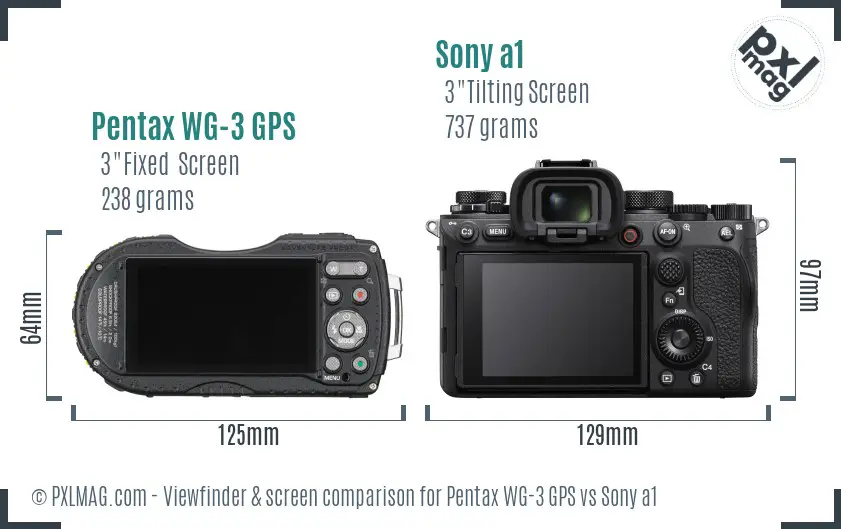 Pentax WG-3 GPS vs Sony a1 Screen and Viewfinder comparison