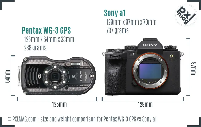 Pentax WG-3 GPS vs Sony a1 size comparison