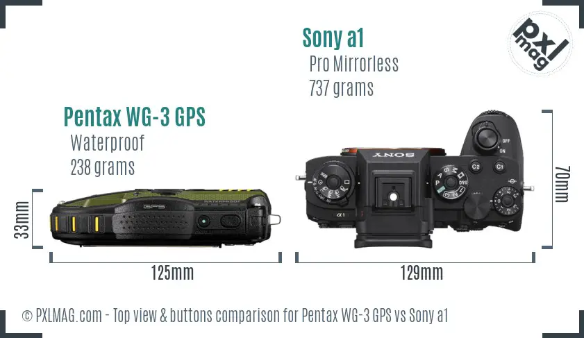 Pentax WG-3 GPS vs Sony a1 top view buttons comparison