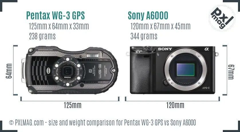 Pentax WG-3 GPS vs Sony A6000 size comparison