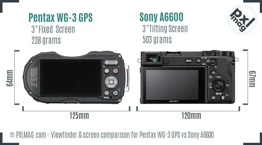 Pentax WG-3 GPS vs Sony A6600 Screen and Viewfinder comparison