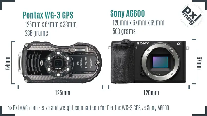 Pentax WG-3 GPS vs Sony A6600 size comparison