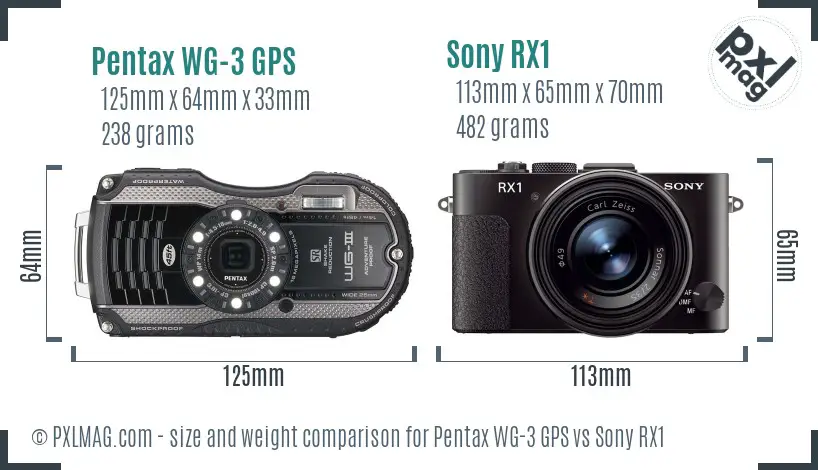 Pentax WG-3 GPS vs Sony RX1 size comparison