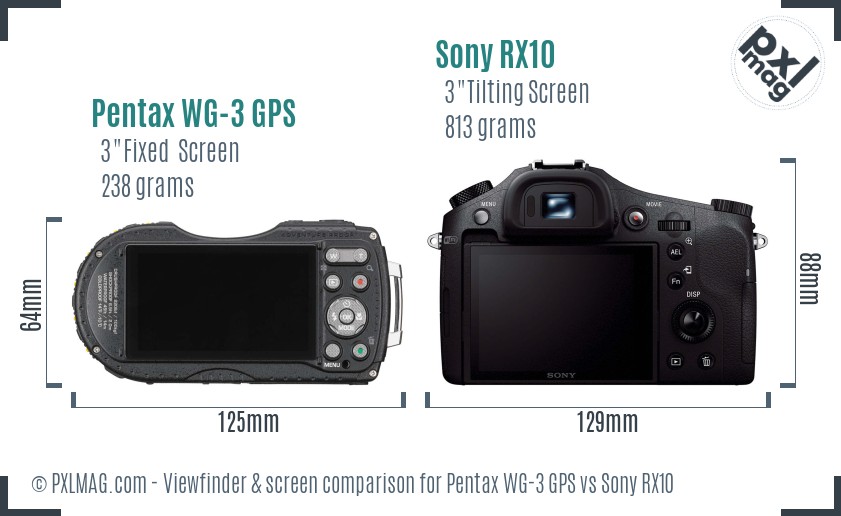 Pentax WG-3 GPS vs Sony RX10 Screen and Viewfinder comparison