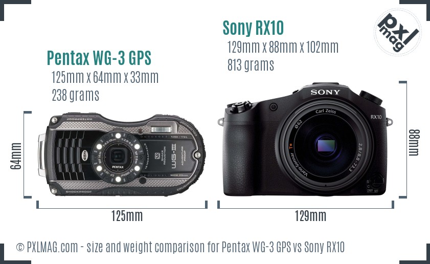 Pentax WG-3 GPS vs Sony RX10 size comparison