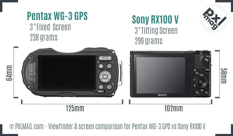 Pentax WG-3 GPS vs Sony RX100 V Screen and Viewfinder comparison Pentax WG-3 GPS vs Sony RX100 V Screen and Viewfinder comparison
