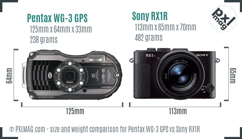 Pentax WG-3 GPS vs Sony RX1R size comparison