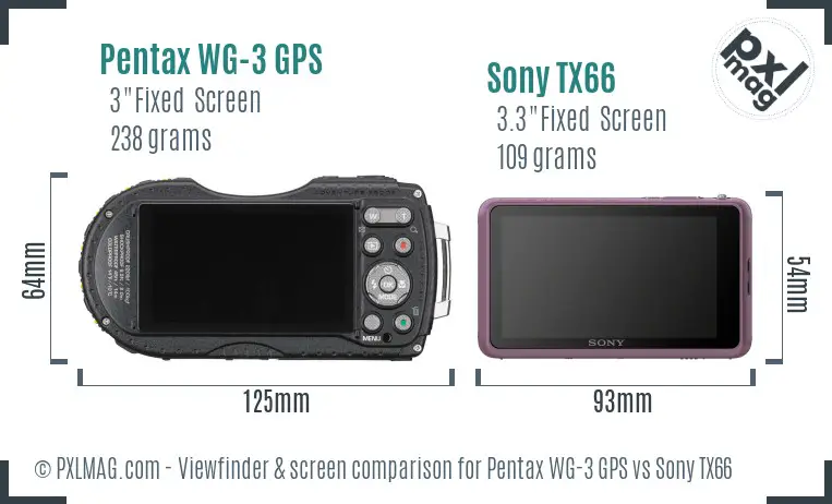 Pentax WG-3 GPS vs Sony TX66 Screen and Viewfinder comparison