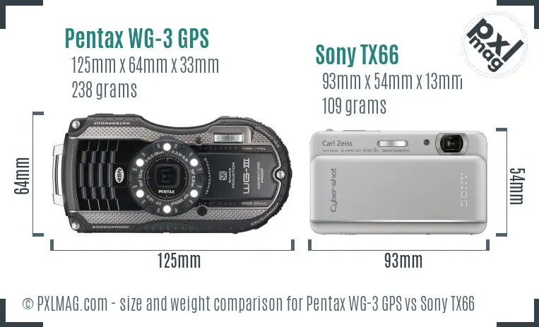 Pentax WG-3 GPS vs Sony TX66 size comparison