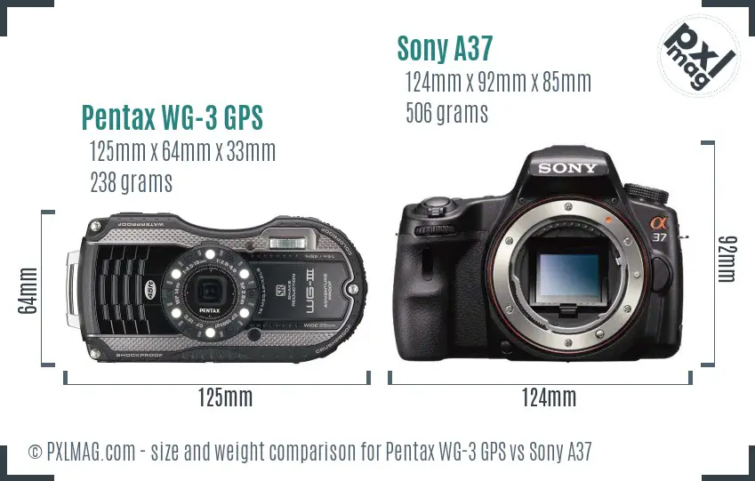 Pentax WG-3 GPS vs Sony A37 size comparison