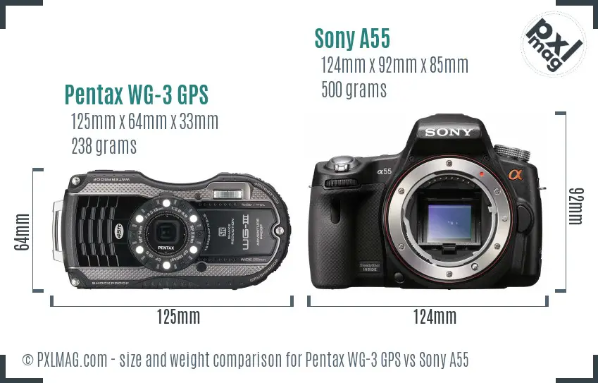 Pentax WG-3 GPS vs Sony A55 size comparison
