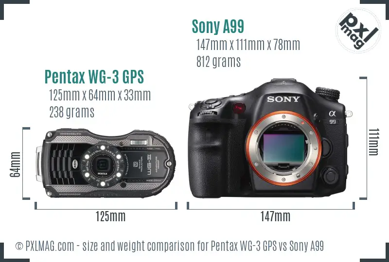 Pentax WG-3 GPS vs Sony A99 size comparison