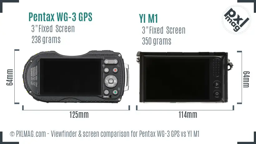 Pentax WG-3 GPS vs YI M1 Screen and Viewfinder comparison