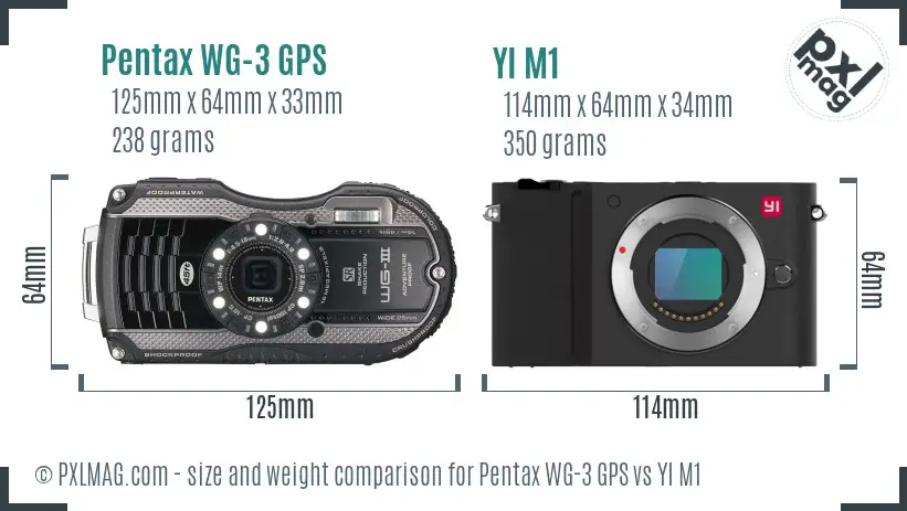 Pentax WG-3 GPS vs YI M1 size comparison