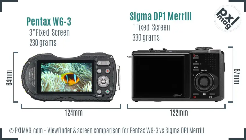 Pentax WG-3 vs Sigma DP1 Merrill Screen and Viewfinder comparison