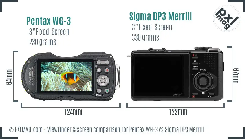 Pentax WG-3 vs Sigma DP3 Merrill Screen and Viewfinder comparison