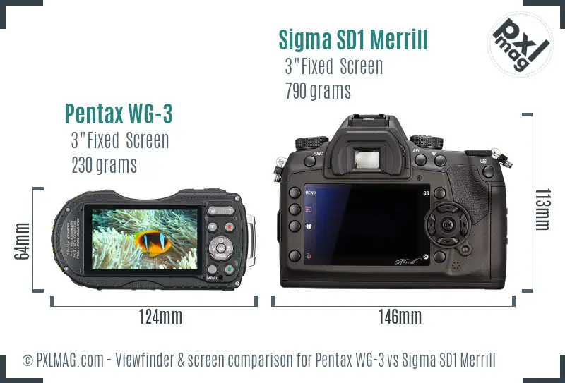 Pentax WG-3 vs Sigma SD1 Merrill Screen and Viewfinder comparison