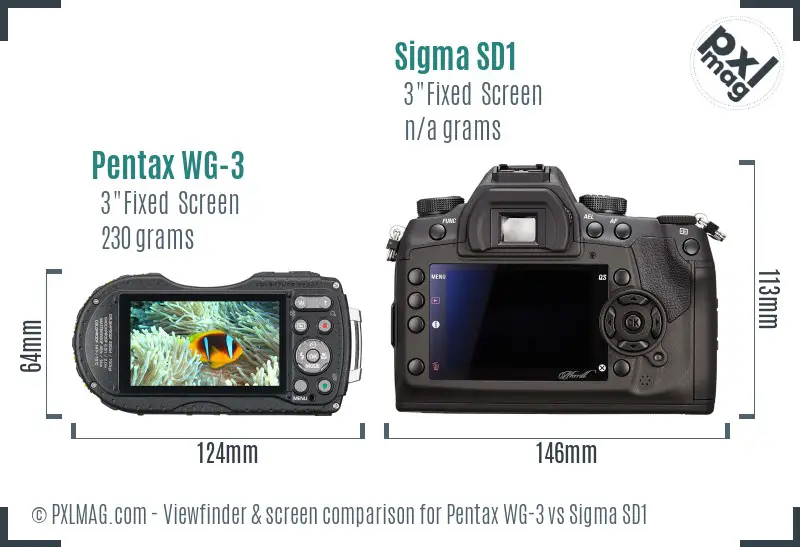 Pentax WG-3 vs Sigma SD1 Screen and Viewfinder comparison