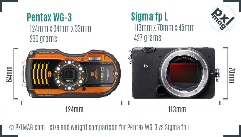 Pentax WG-3 vs Sigma fp L size comparison