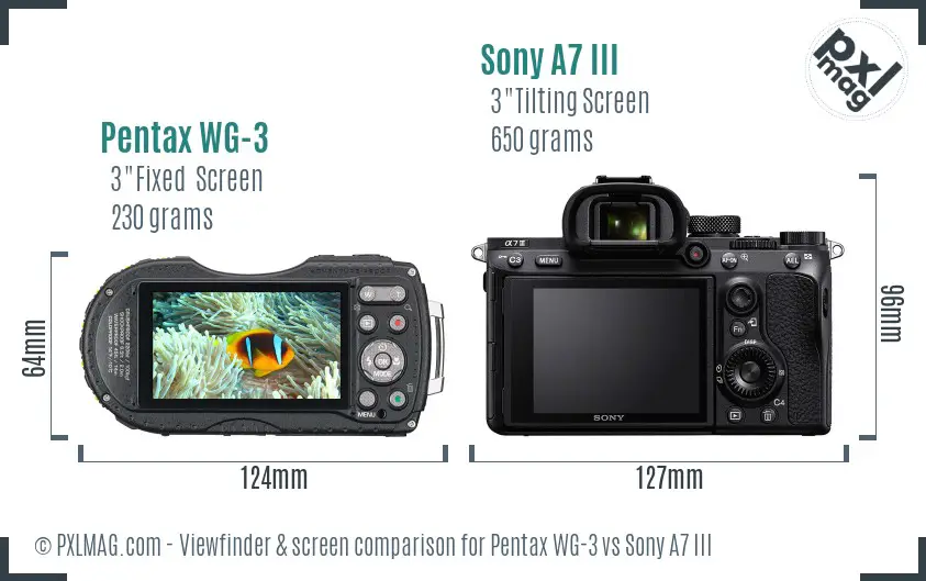 Pentax WG-3 vs Sony A7 III Screen and Viewfinder comparison