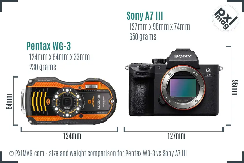 Pentax WG-3 vs Sony A7 III size comparison