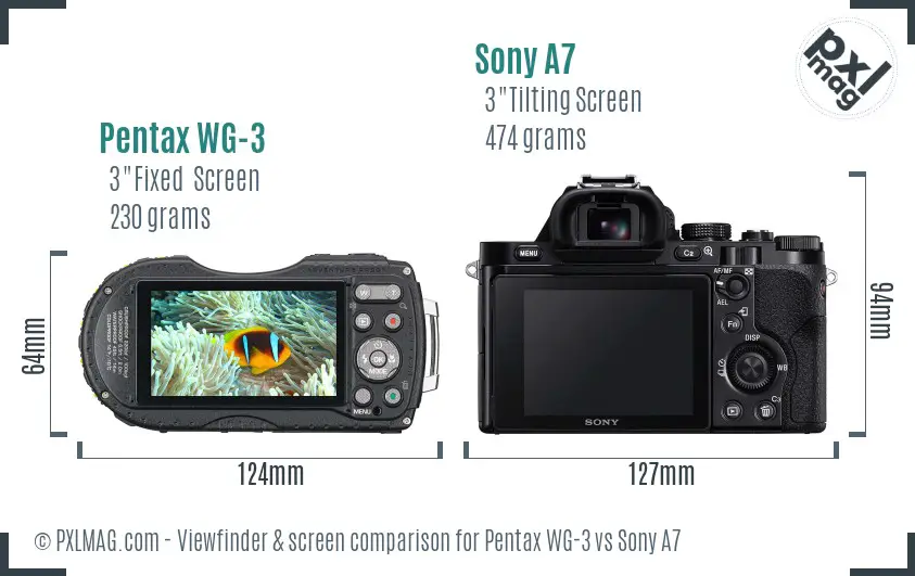 Pentax WG-3 vs Sony A7 Screen and Viewfinder comparison