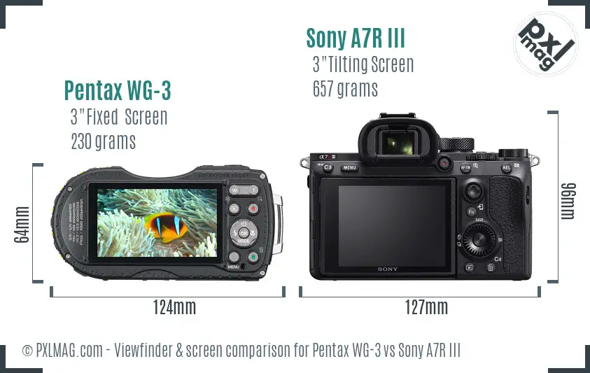 Pentax WG-3 vs Sony A7R III Screen and Viewfinder comparison