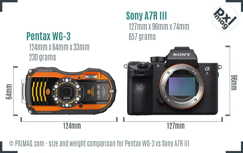 Pentax WG-3 vs Sony A7R III size comparison