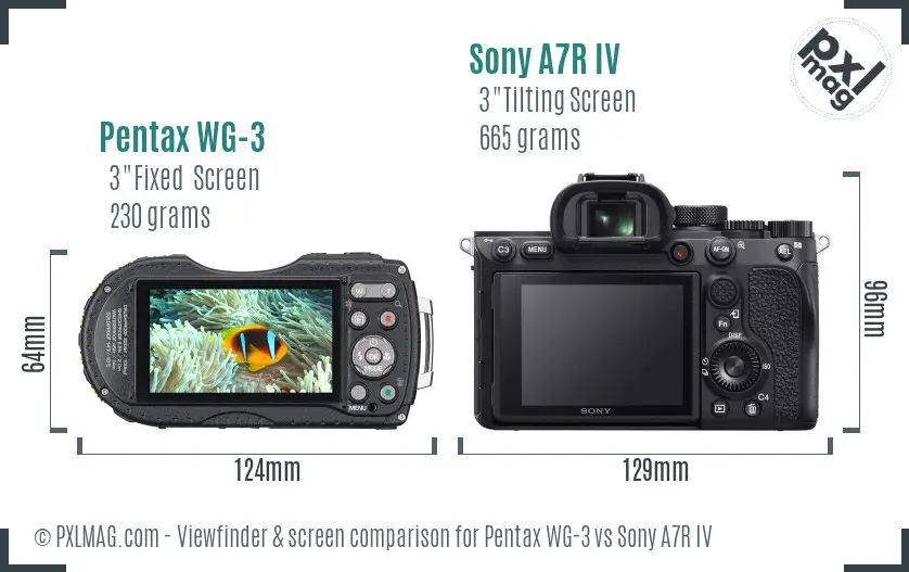 Pentax WG-3 vs Sony A7R IV Screen and Viewfinder comparison