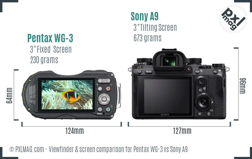 Pentax WG-3 vs Sony A9 Screen and Viewfinder comparison