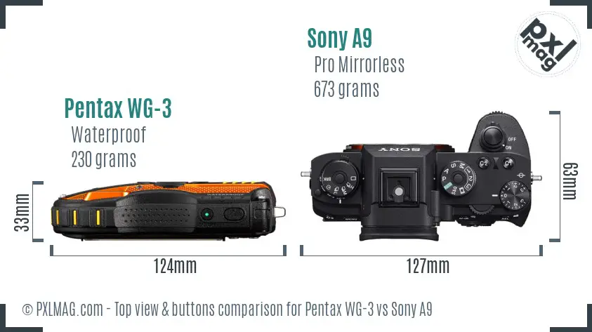 Pentax WG-3 vs Sony A9 top view buttons comparison