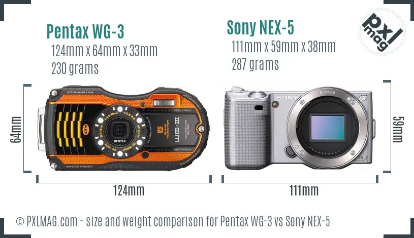 Pentax WG-3 vs Sony NEX-5 size comparison