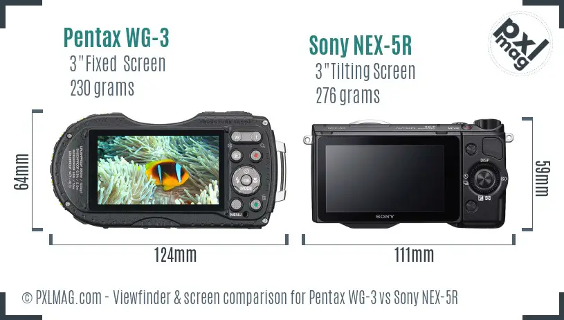 Pentax WG-3 vs Sony NEX-5R Screen and Viewfinder comparison