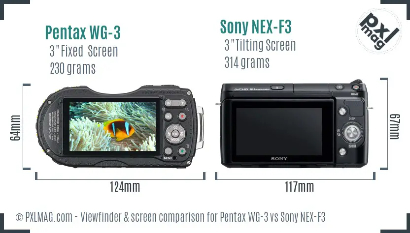 Pentax WG-3 vs Sony NEX-F3 Screen and Viewfinder comparison