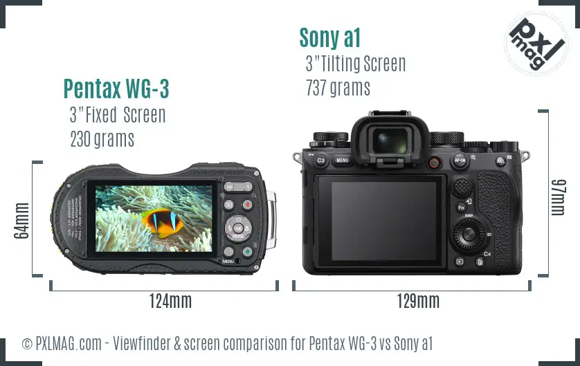 Pentax WG-3 vs Sony a1 Screen and Viewfinder comparison