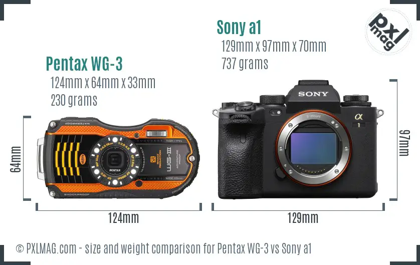 Pentax WG-3 vs Sony a1 size comparison