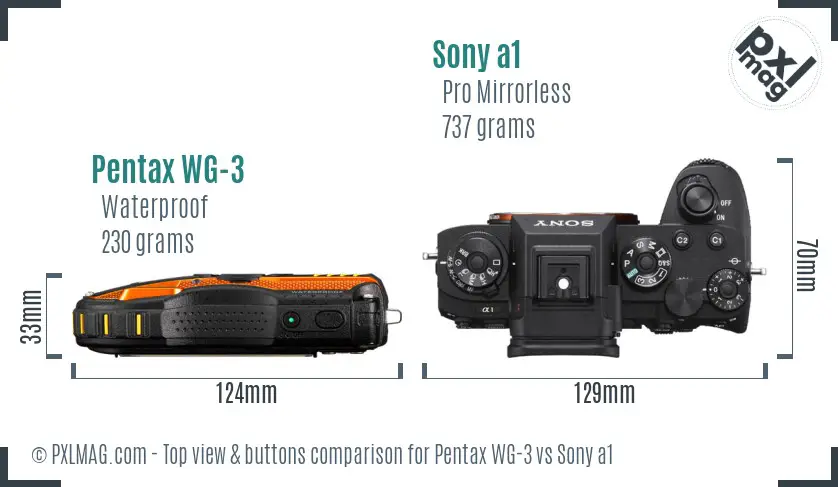Pentax WG-3 vs Sony a1 top view buttons comparison