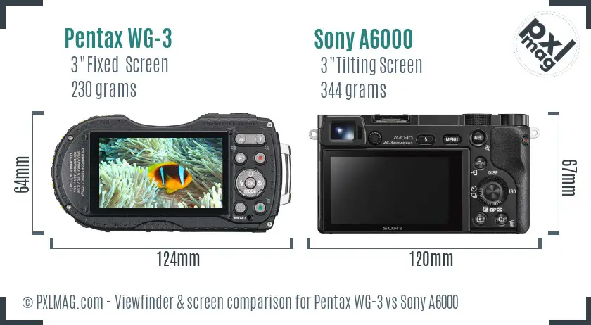 Pentax WG-3 vs Sony A6000 Screen and Viewfinder comparison